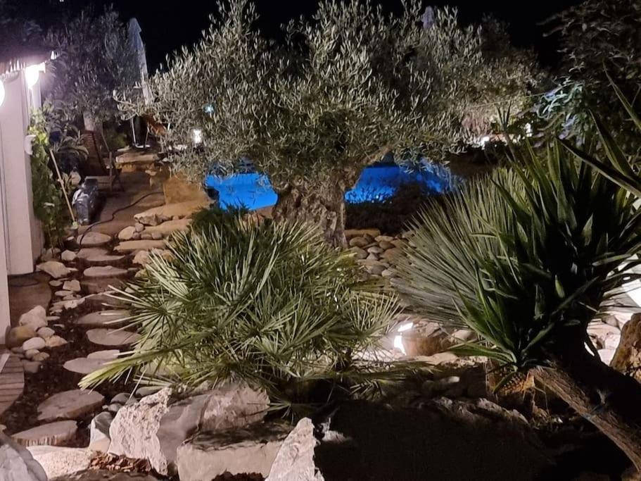 Une Oasis Au Pays De Cezanne Aix-en-Provence Exterior foto